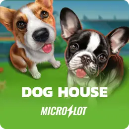 Dog House