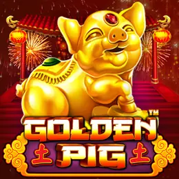 Golden Pig