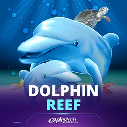 Dolphin Reef